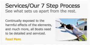Services / Our 7 Steps Process