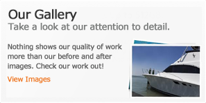 Our Gallery